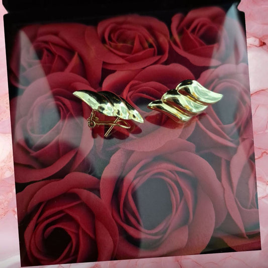 Aretes Omega - 10 k